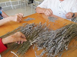 Prepariamo i mazzetti di lavanda...